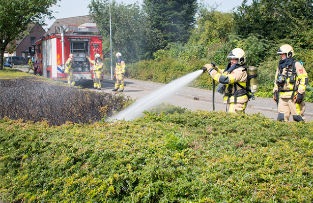 Koendersweg ruigtebrand