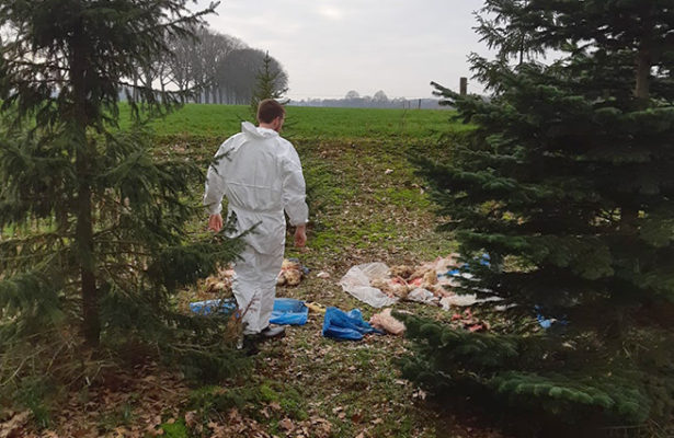 Slachtafval Rengelinkweg IJzerlo