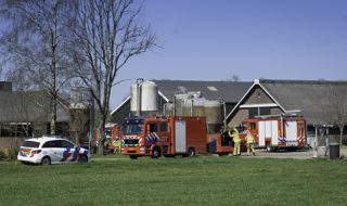 Ontbranding mestgassen voorst