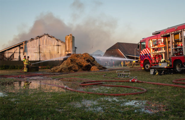 Stalbrand Giebinkslat De Heurne juni 2023