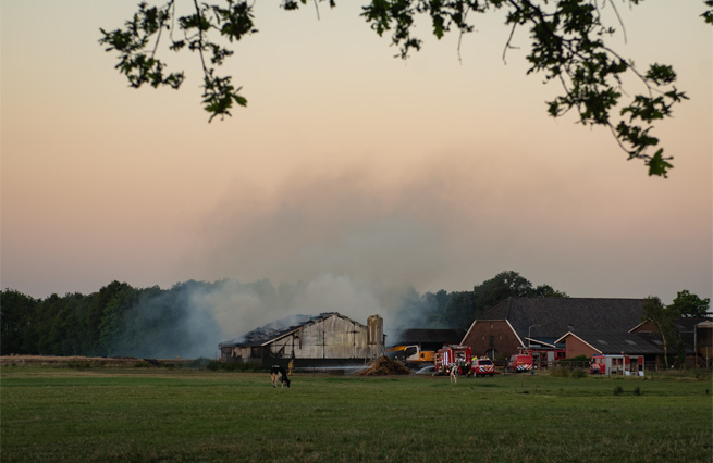 Stalbrand Giebinkslat De Heurne juni 2023