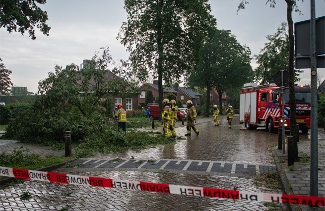 Stormschade ontwortelde boom Burg. Haverkampstraat Dinxperlo