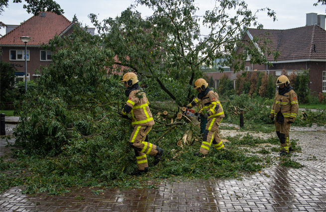 Stormschade ontwortelde boom Burg. Haverkampstraat Dinxperlo