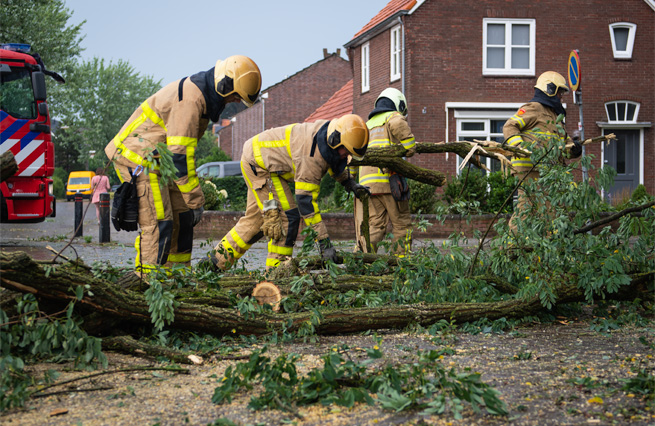 Stormschade ontwortelde boom Burg. Haverkampstraat Dinxperlo