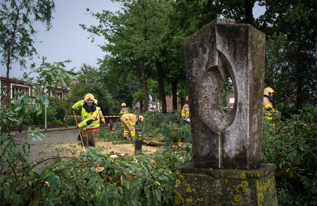 Stormschade ontwortelde boom Burg. Haverkampstraat Dinxperlo