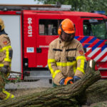 Stormschade ontwortelde boom Burg. Haverkampstraat Dinxperlo