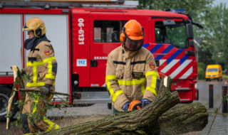 Stormschade ontwortelde boom Burg. Haverkampstraat Dinxperlo