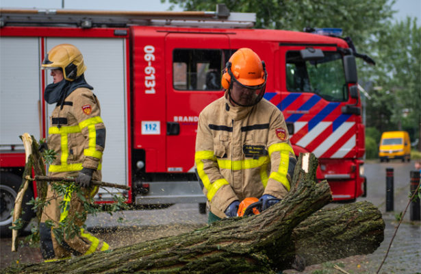 Stormschade ontwortelde boom Burg. Haverkampstraat Dinxperlo