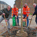 Aanplant bomen gestart in centrum Dinxperlo