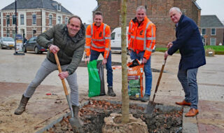 Aanplant bomen gestart in centrum Dinxperlo